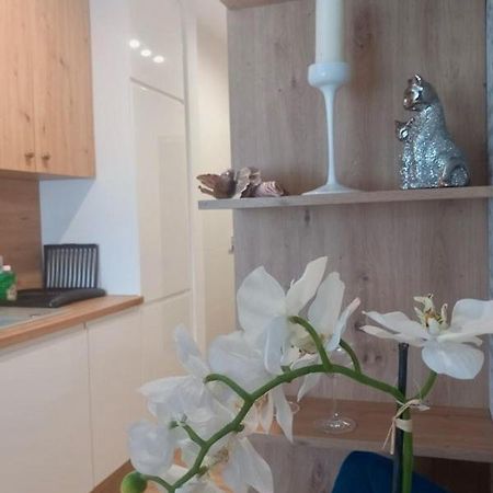Jaworska 4 Apartments Wroclaw Bagian luar foto